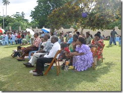 Shade from a small tree