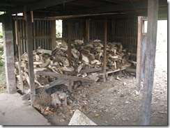 Firewood