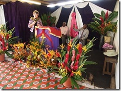 Amazing fresh flowers